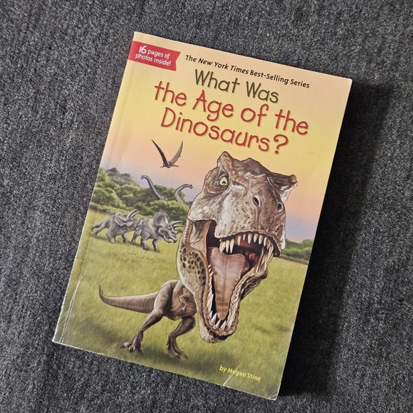 What Was the Age of the Dinosaurs? - Paperback by Megan Stine, Illustrated FACTS - Picture 1 of 8